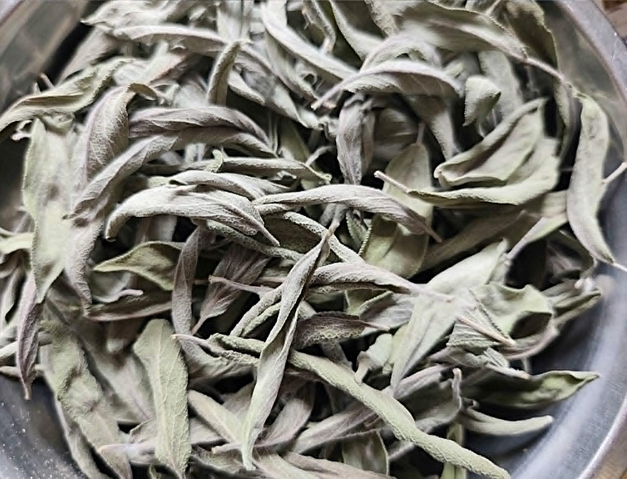 salavijas dziovintas
